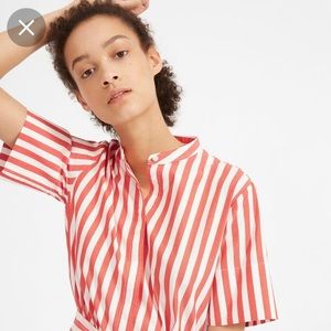 Everlane Cotton Poplin Collarless Shirtdress